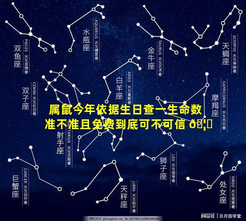 属鼠今年依据生日查一生命数准不准且免费到底可不可信 🦊